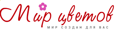 Мир Цветов 33